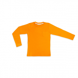 Bluza